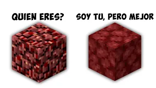 Los mejores cambios de imagen de Minecraft!