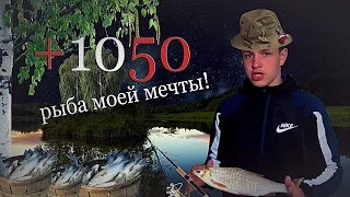 +1050"Одинокий волк" (12 Выпуск)