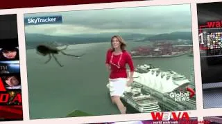 Weather camera spider scares Kristi - W3VA Daily Show-6-25-13-News