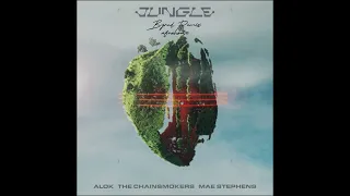 Alok, The Chainsmokers & Mae Stephens - Jungle (Byred 'Afrohouse' Remix)