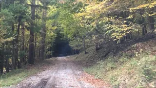 山梨県 林道 大武川線（通行止め）