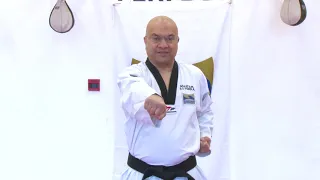 How to do Taekwondo Basic Punching by Grandmaster Vohra Kukkiwon 9 Dan