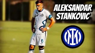 Aleksandar Stankovic • Inter Milan • Highlights Video (Goals, Assists, Skills)