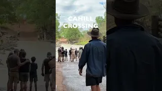 Close up encounters with crocodiles, Cahill Crossing Northern Territory #shorts