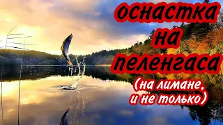 оснастка на пеленгаса, оснастка на пеленгаса на лимане, как сделать оснастку на пеленгаса, оснастка