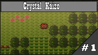 Pokemon Crystal Kaizo: Part 1 - In The Begining