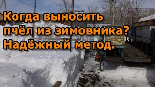 Когда выносить пчёл из зимовника? Надёжный метод.