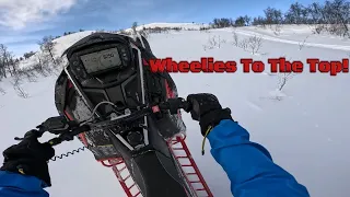 Polaris 9R Tree Riding In The Mountains!