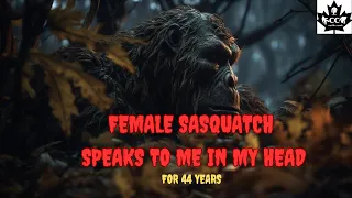 EPISODE 600 FEMALE SASQUATCH SPEAKS TO ME IN MY HEAD              (FOR 44 YEARS)