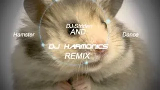 DJ Striden & DJ Harmonics - Hampster Dance Remix