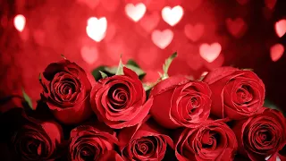 Моє кохання! Неймовірно красива музика, Оксамитова ніжність червоних троянд