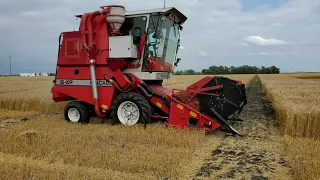 Small Plot Combine Harvest Manitoba 2020