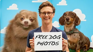 I Set Up A Free Dog Photo Shoot To Pet More Dogs