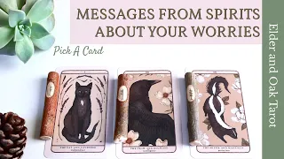 MESSAGES FROM SPIRITS ABOUT A WORRY THAT YOU HAVE  🌝 ✨ Pick A Card Timeless Tarot Reading