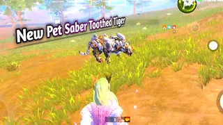 New Pet Saber Toothed Tiger | New Update New Pet | Last Island Rules Survival |