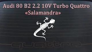 Проект "Salamandra" - Audi 80 B2 2.2 Turbo Quattro 250Hp+