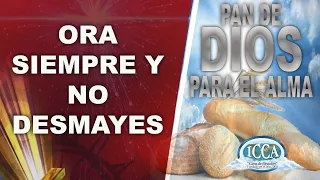 ORA SIEMPRE Y NO DESMAYES  (Lucas 18:1-8) Devocional 🥖PAN DE DIOS PARA EL ALMA🥖