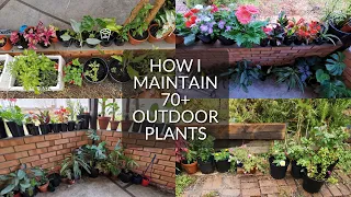 My 70+ Outdoor Plant Tour | Outdoor Plant Collection
