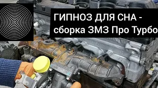 Сборка ZMZ Pro Turbo Stage 2.0 из ЗМЗ 409. Гипноз для засыпания