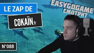 EASY (EASYGOGAME) смотрит - Le Zap de Cokaïn.fr n°088