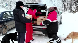 Полицейские Коми помогли сыктывкарскому приюту.