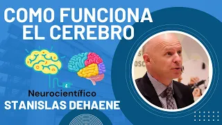 🧐🧠 APRENDE CÓMO FUNCIONA EL CEREBRO CON ESTE MARAVILLOSO NEUROCIENTÍFICO-  Stanislas Dehaene