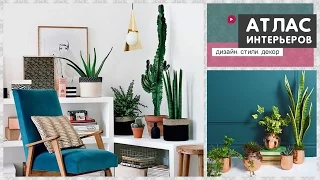 Potted plants and flowers in interior