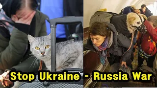 Ukraine Russia War : dogs and cats that's on the evacuation procession with its owner.