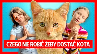 Czego nie robić żeby dostać kotka