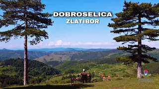 Kulturista ep.4 - Dobroselica  Zlatibor