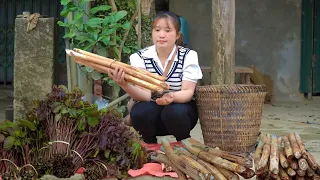 Bring vegetables to the market to sell, Make a trellis for cucumbers, Daily work on the farm