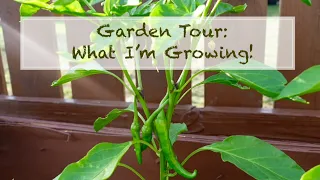 GARDEN TOUR: WHAT IM GROWING!! | Planting The World Red