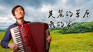 Beautiful Grassland My Home Solo ｜Dedema｜Accordion Cover