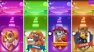 Paw Patrol 🐾 : The Mighty Movie | Skaye 🆚 Zuma 🆚 Marshall 🆚 Chase. 🎶 Tiles Hop EDM Rush 🏆🎯