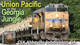 [8Q][4k] Union Pacific in the Georgia Jungle, Trains on the CSX Abbeville Sub, GA 04/23-06/04/2022