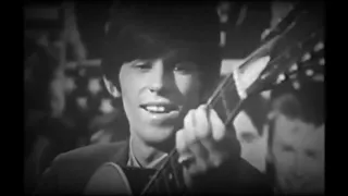 The Rolling Stones - Little Red Rooster [Subtítulos en Español / Inglés]