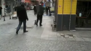 Cat Attacking People on Street - Kadıköy, Istanbul