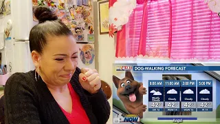 Try Not To Laugh | Best News Bloopers 2023 (Part 1) | REACTION!