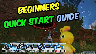 [PSO2: NGS] Beginners Quick Start Guide