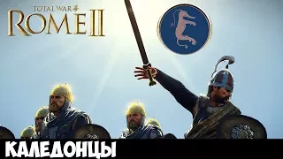 СЕГОВАКС! Total War: Rome II - Empire Divided - Кампания за Каледонцев #1