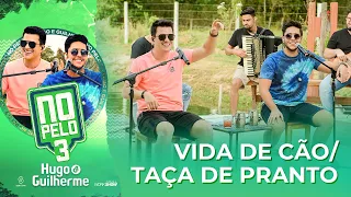 Hugo e Guilherme - Pot-Pourri Vida de Cão / Taça de Pranto I DVD No Pelo 3
