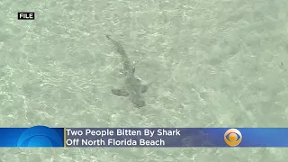 Two People Bitten By Shark Off North Florida Beach