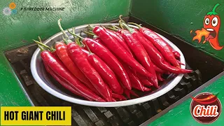 Hot Giant Chili vs Fast Shredder Machine