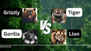 Big Fight: Lion vs Tiger vs Grizzly Bear vs Gorilla