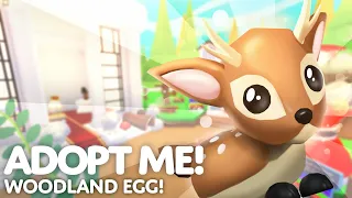 🦌 WOODLAND EGG UPDATE! 🌲 8 NEW PETS! 😲 Adopt Me! on Roblox