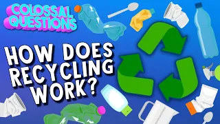 How Does Recycling Work? | COLOSSAL QUESTIONS