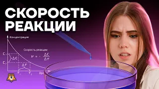 Все типы задания 18. Скорость реакции | Химия ЕГЭ 2023 | Умскул