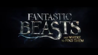 Fantastic Beasts and Where to Find Them 2016