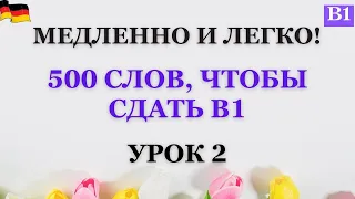 Урок 2 |  В1 | Медленно и легко! Практикуем слова В1!