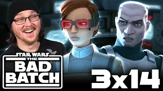 THE BAD BATCH 3x14 REACTION & REVIEW | Flash Strike | Final Season | Star Wars